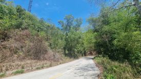 Land for sale in Flores, Cebu