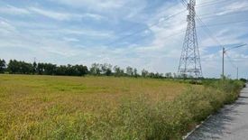 ขายที่ดิน ใน คลองเรือ, วิหารแดง