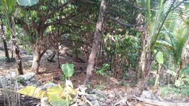 Land for sale in Maghaway, Cebu