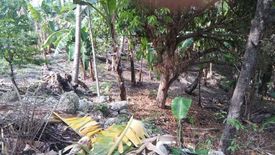 Land for sale in Maghaway, Cebu