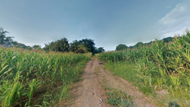 Land for sale in Don Luis, Batangas