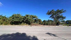 Land for sale in Amadeo, Cavite