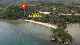 Land for sale in Montealegre, Cebu