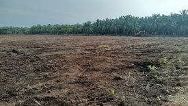 Land for rent in Batang Berjuntai, Selangor