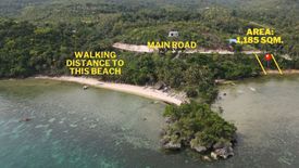 Land for sale in Montealegre, Cebu