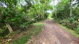 Land for sale in Tawala, Bohol