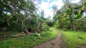 Land for sale in Tawala, Bohol