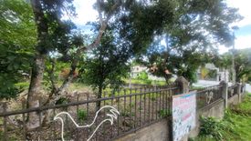 Land for sale in Tawala, Bohol