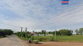 Land for sale in Wang Thong, Phitsanulok