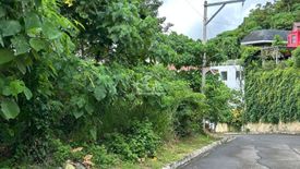 Land for sale in MARIA LUISA ESTATE PARK, Adlaon, Cebu