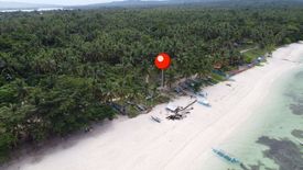 Land for sale in Montealegre, Cebu