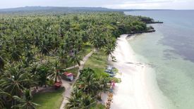 Land for sale in Montealegre, Cebu