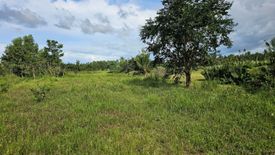 Land for sale in Poblacion, Bohol