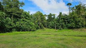 Land for sale in Salog, Bohol