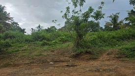 Land for sale in Poblacion, Bohol