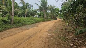 Land for sale in Poblacion, Bohol