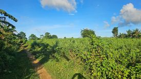 Land for sale in Lomangog, Bohol