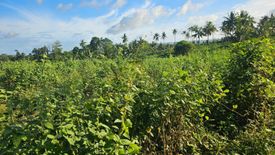 Land for sale in Lomangog, Bohol