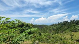 Land for sale in Dumlog, Cebu