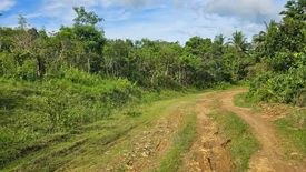 Land for sale in Boctol, Bohol