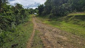 Land for sale in Boctol, Bohol