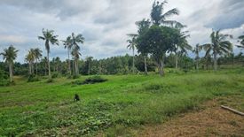 Land for sale in Lomangog, Bohol