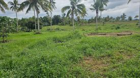 Land for sale in Lomangog, Bohol