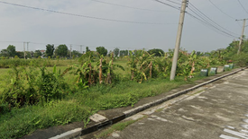 Land for sale in Sumacab Este, Nueva Ecija