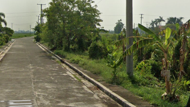 Land for sale in Sumacab Este, Nueva Ecija