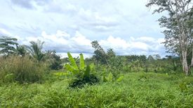 Land for sale in Thung Maphrao, Phang Nga