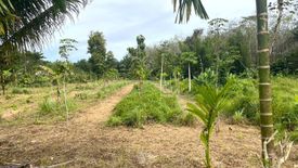 Land for sale in Thung Maphrao, Phang Nga