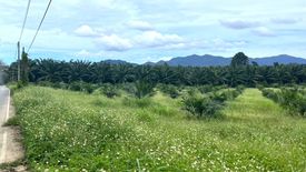 ขายที่ดิน ใน ทุ่งมะพร้าว, ท้ายเหมือง