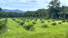 ขายที่ดิน ใน ทุ่งมะพร้าว, ท้ายเหมือง