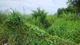 Land for rent in Lahan, Nonthaburi