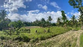 Land for sale in Valencia, Cebu