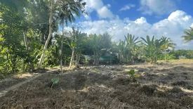 Land for sale in Valencia, Cebu