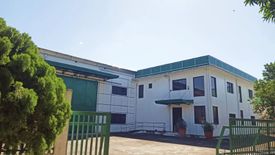 Warehouse / Factory for Sale or Rent in Punta, Laguna