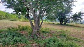 Land for sale in Guesset, La Union