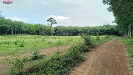 Land for sale in Khlong Hin, Krabi