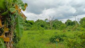 ขายที่ดิน ใน ดงขี้เหล็ก, เมืองปราจีนบุรี