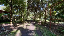 Land for sale in Liptong, Negros Oriental