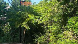 Land for sale in MARIA LUISA ESTATE PARK, Adlaon, Cebu