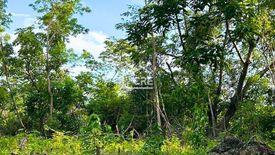 Land for sale in MARIA LUISA ESTATE PARK, Adlaon, Cebu