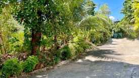 Land for sale in Sapangdaku, Cebu