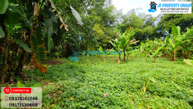Land for sale in San Jose, Leyte