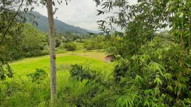 Land for sale in Kampung Janda Baik, Pahang