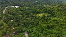 Land for sale in Luzviminda, Palawan