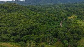 Land for sale in Luzviminda, Palawan