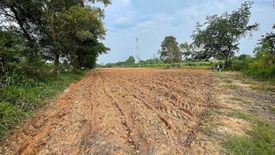 ขายที่ดิน ใน ลาดใหญ่, เมืองชัยภูมิ