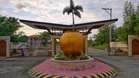 Land for sale in Bonuan Boquig, Pangasinan